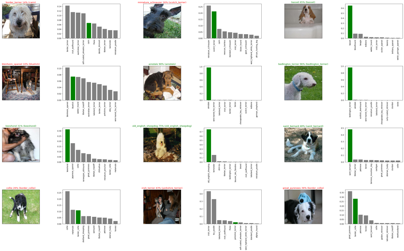 End to End Dog Vision Deep Learning Project